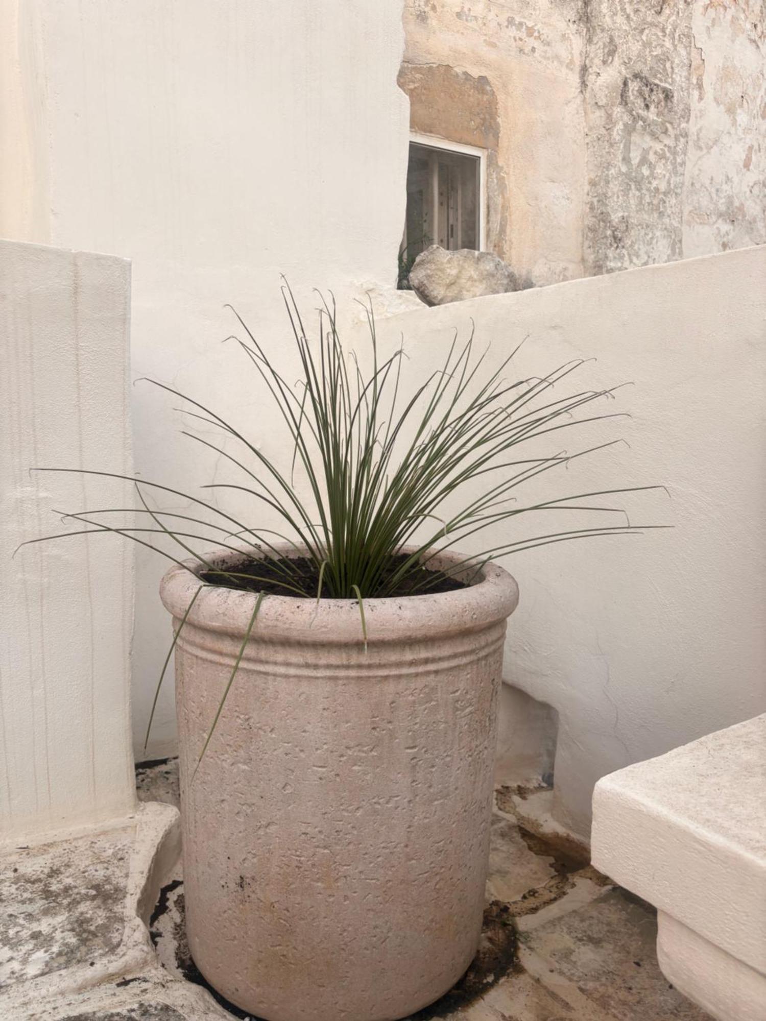 Palazzoliva - Luxury Boho Chic Guest House In The Historic Heart Of Martina Franca Kültér fotó